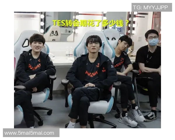 TES战队的迅猛崛起与战术创新分析